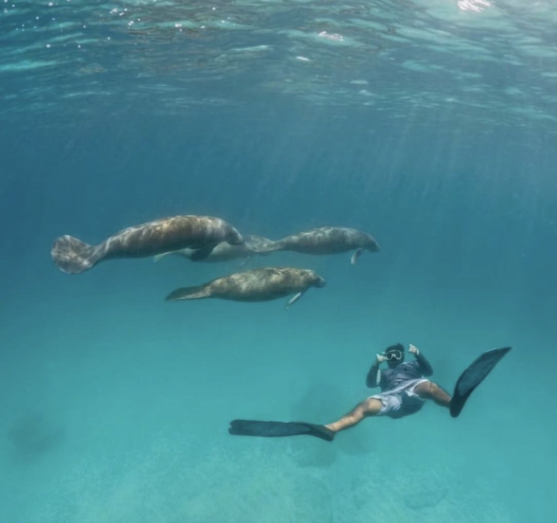 Isla Mujeres Premium Catamaran Tour with transportation from Playa del Carmen
